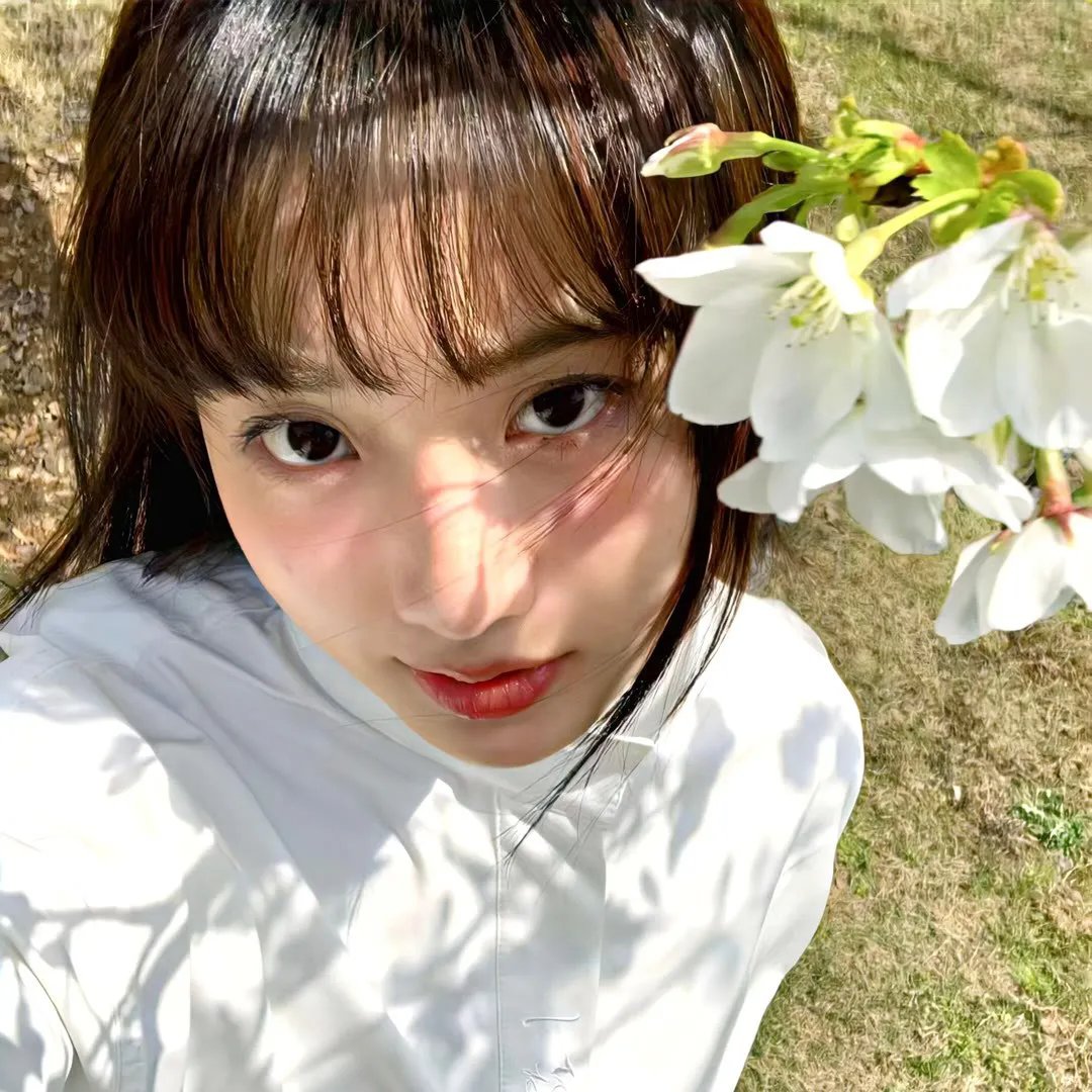 南方新娘
